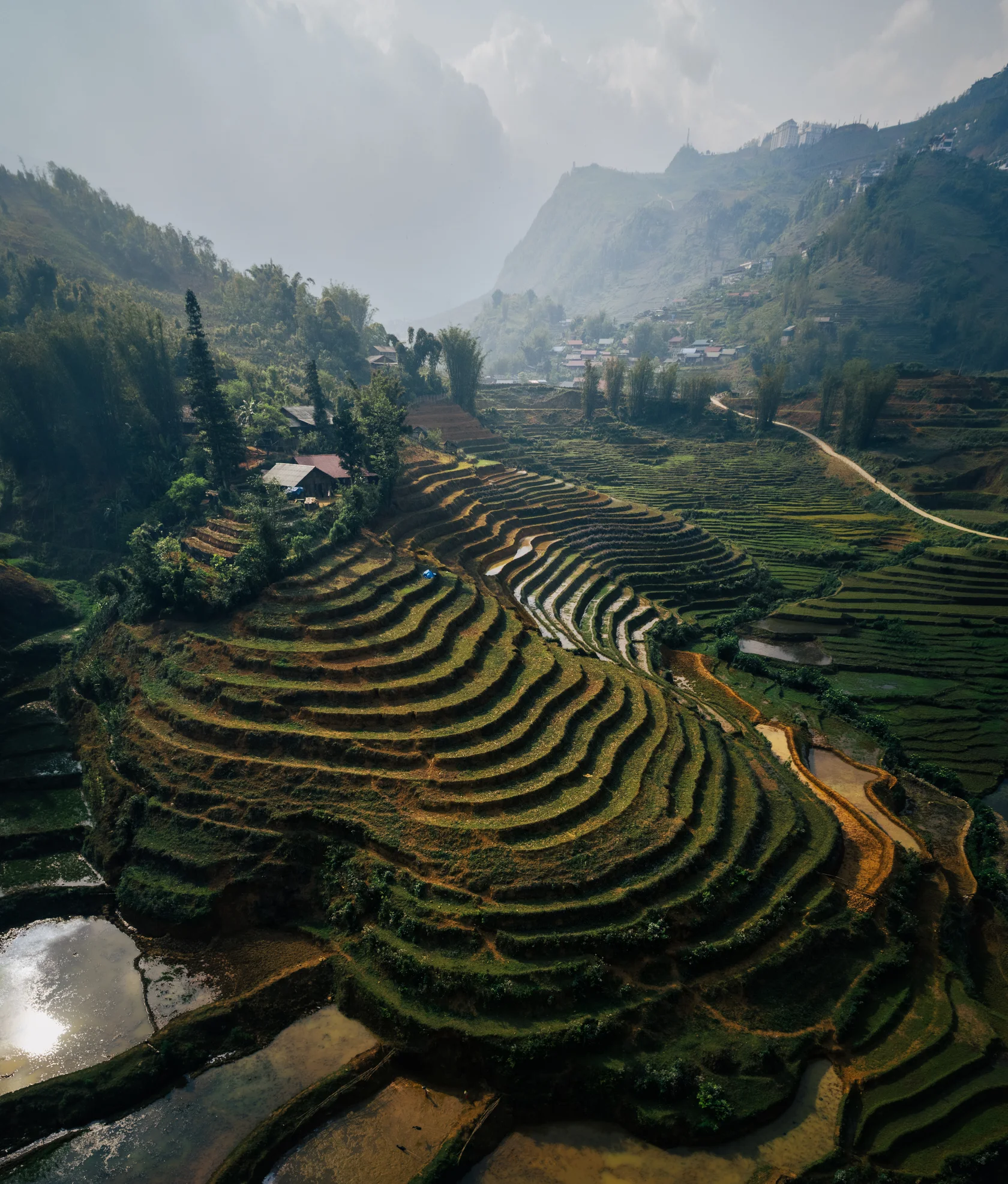 Vietnam #11, Vietnam