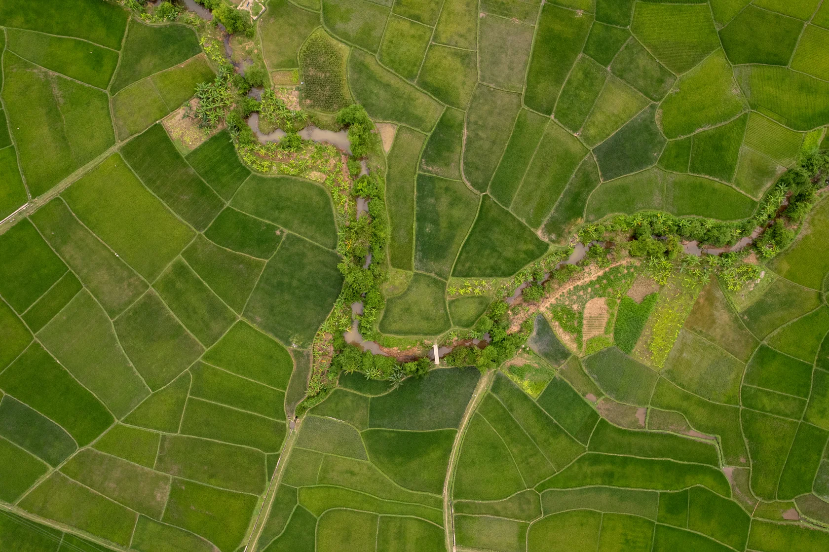 Vietnam #13, Vietnam