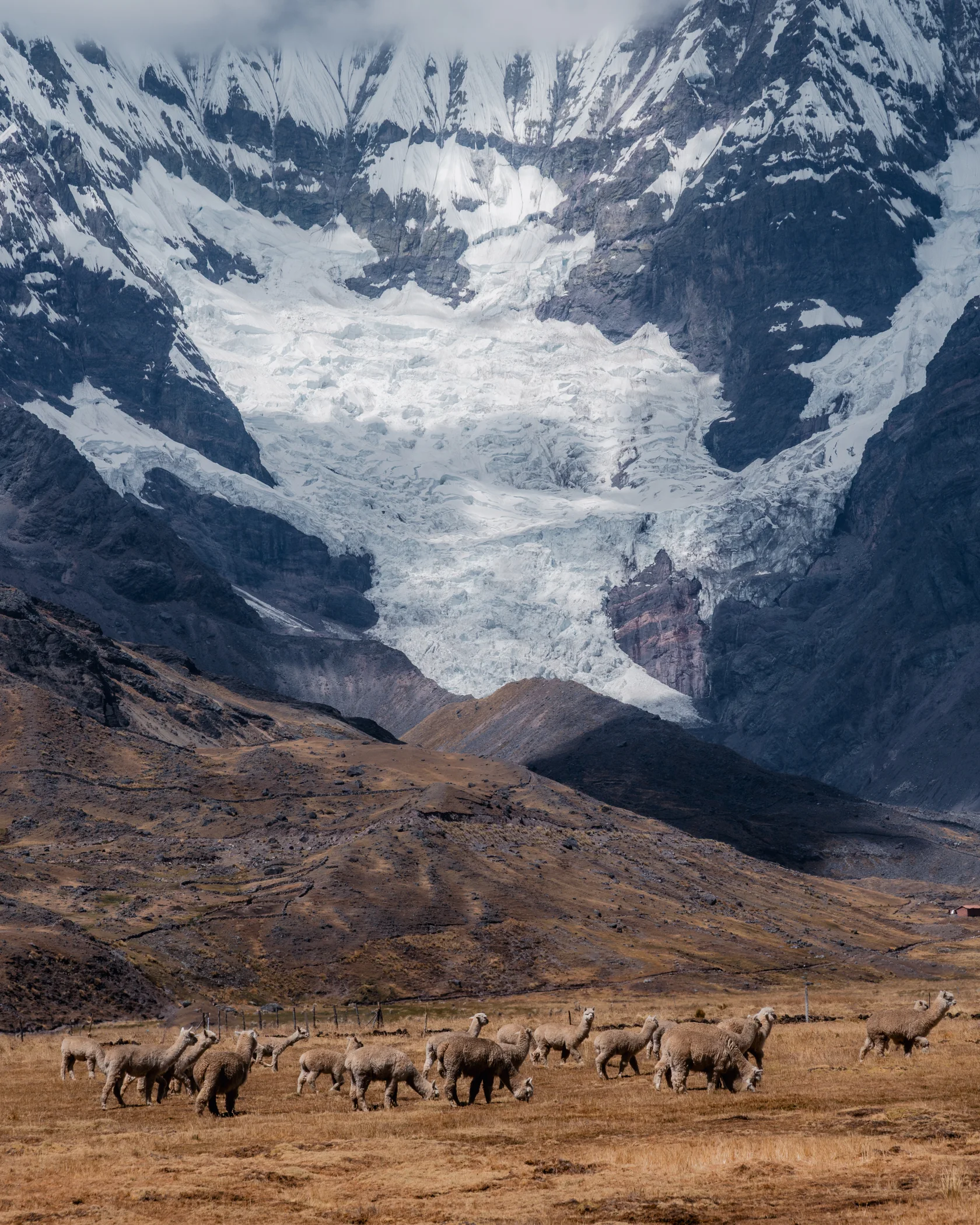 Ausangate #10, Ausangate, Peru