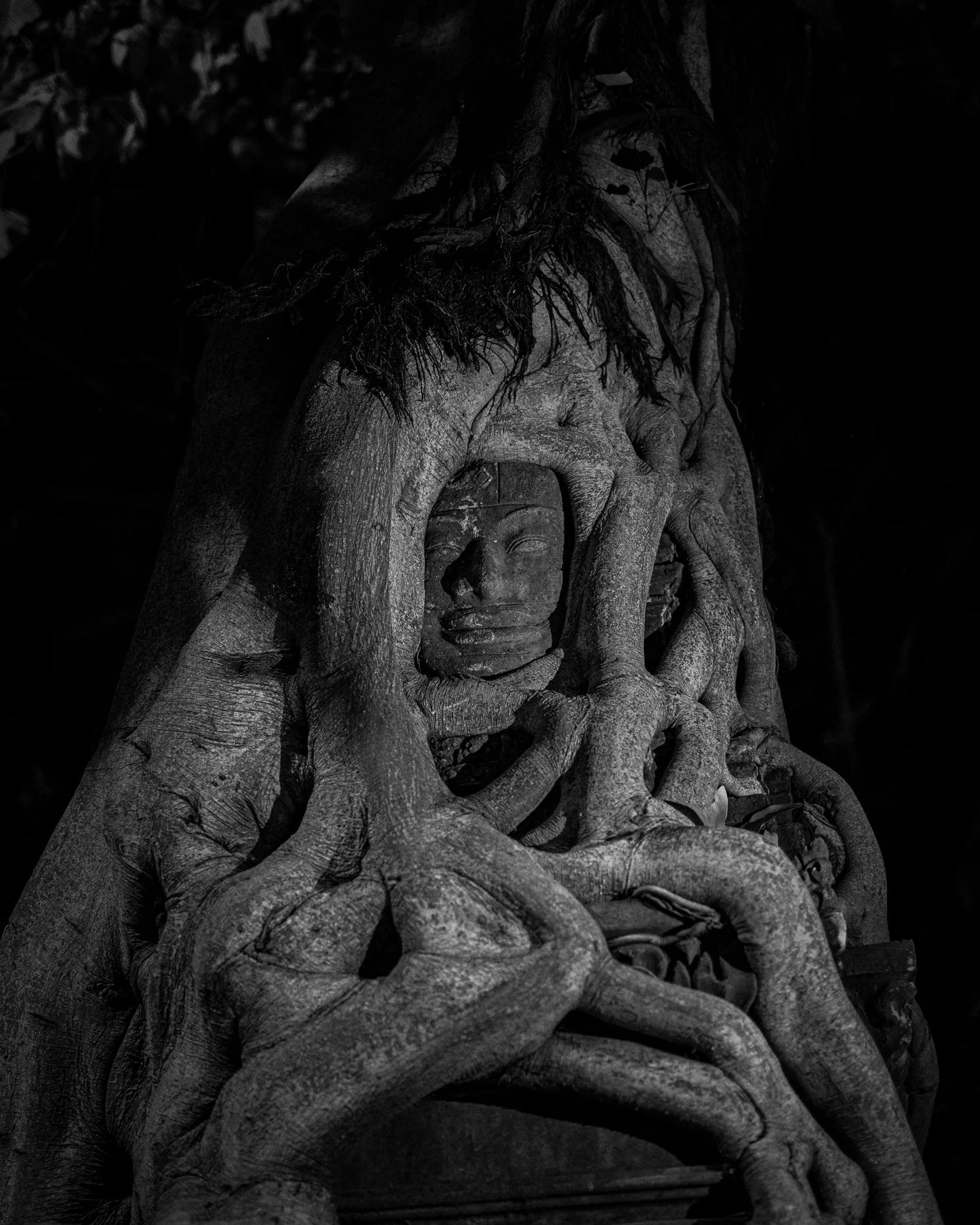 Siem Riep #14, Siem Riep, Cambodia