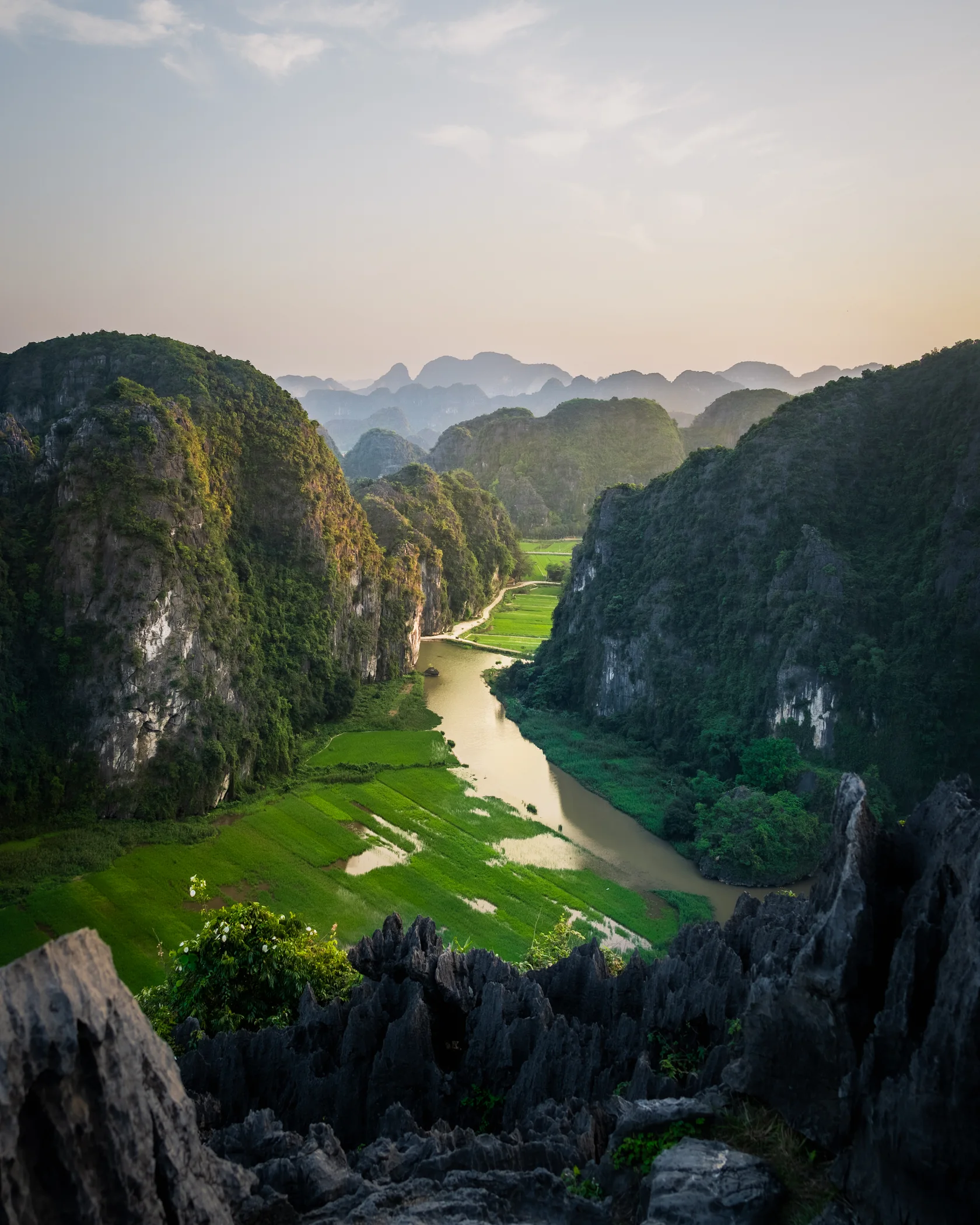 Vietnam #41, Vietnam