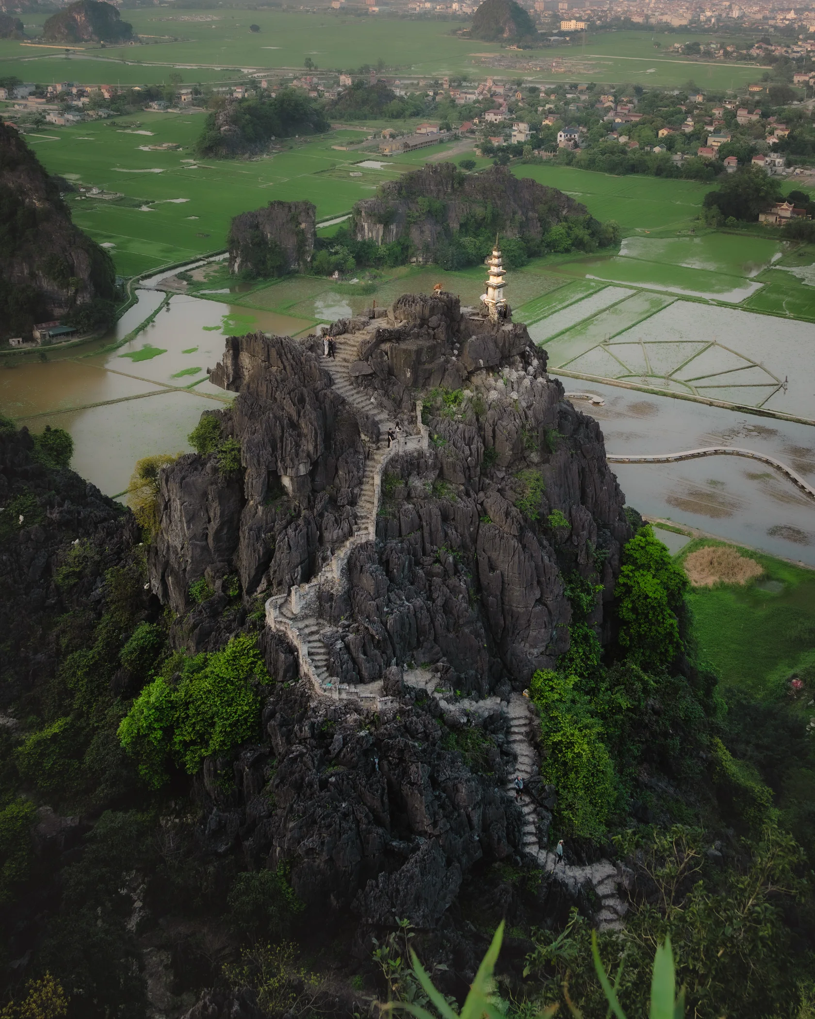 Vietnam #44, Vietnam