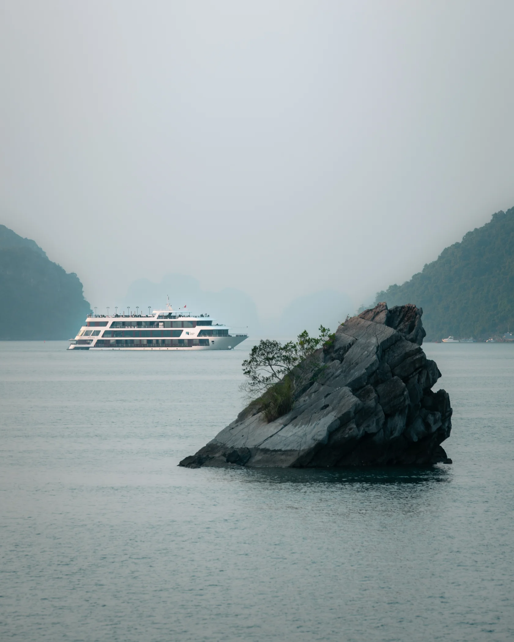 Vietnam #50, Vietnam
