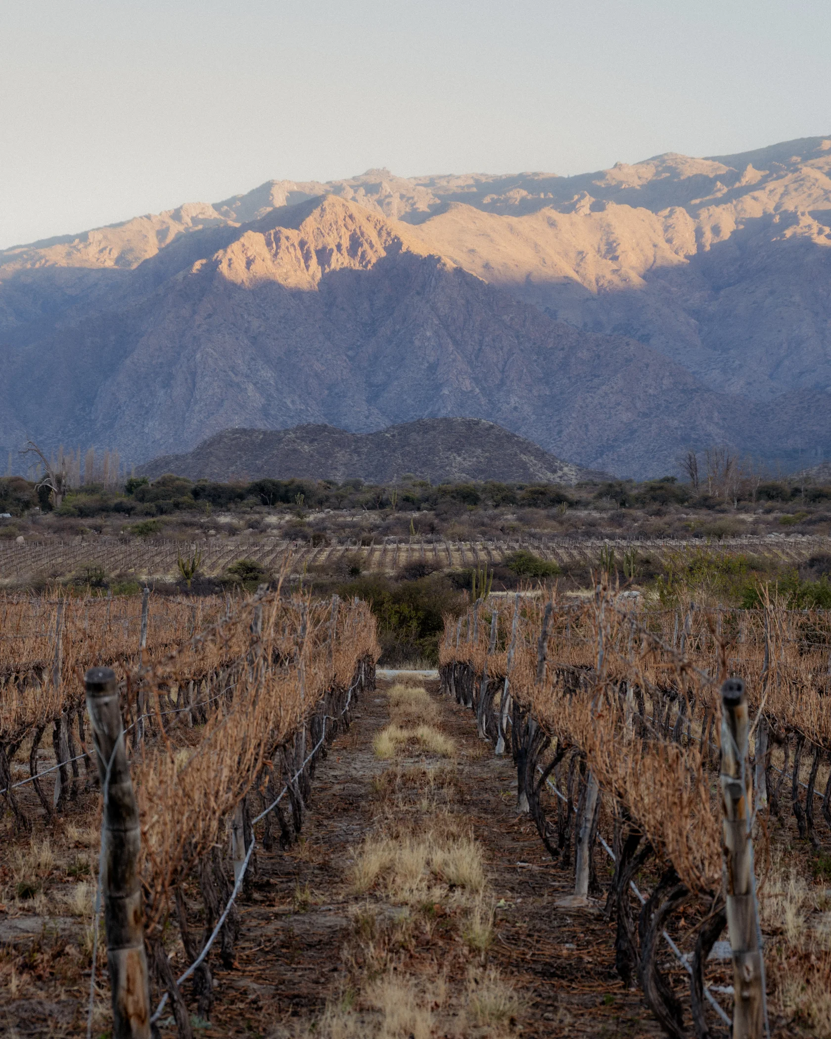 Cafayate #1, Cafayate, Argentina