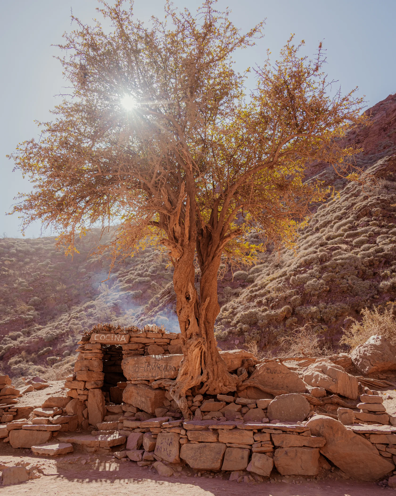 Cafayate #6, Cafayate, Argentina