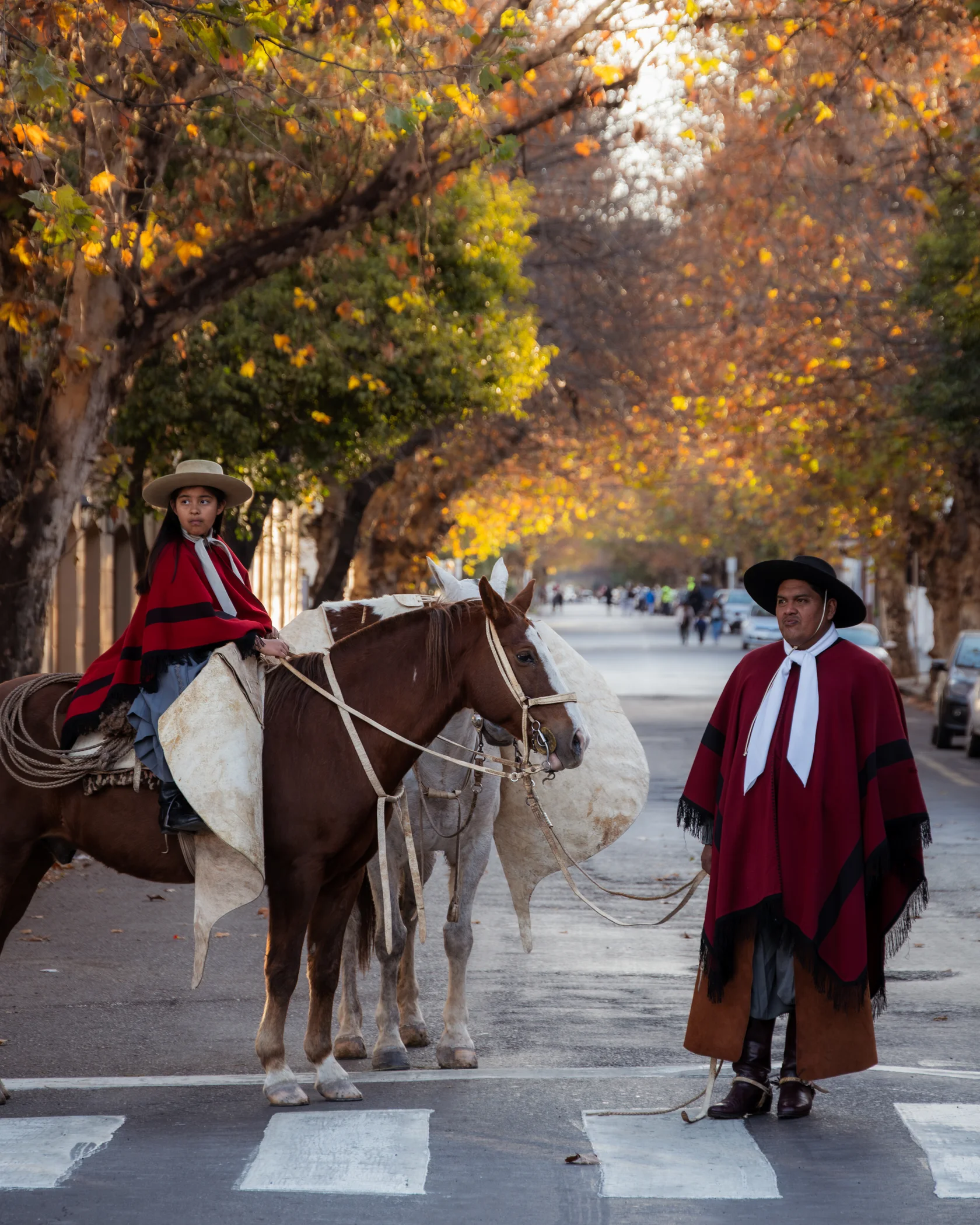 Salta #7, Salta, Argentina
